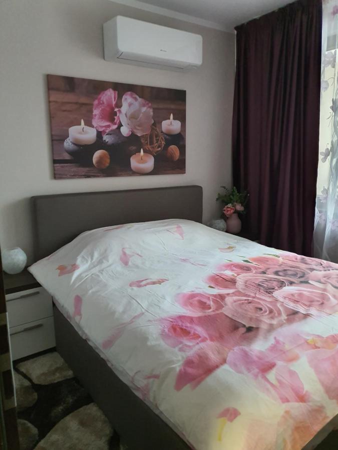 Vip & Parking Apartament
